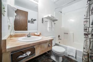 潘圭奇罗德威布莱斯峡谷酒店的一间带水槽和卫生间的浴室