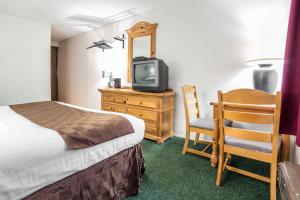 潘圭奇罗德威布莱斯峡谷酒店的一间卧室配有一张床、一台电视和一把椅子