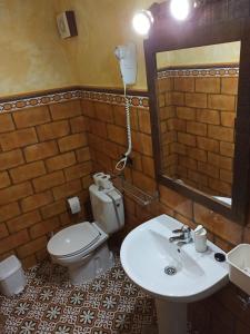 扎哈拉爱妮多酒店的一间带卫生间、水槽和镜子的浴室