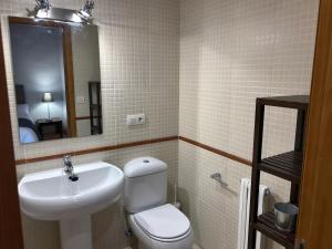 福米加尔Chalet Los Ibones - Lodge Formigal的一间带水槽、卫生间和镜子的浴室