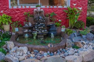 拉塞雷纳Cabañas Maihue的花园中带喷泉的小池塘