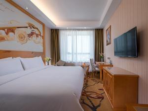福州维也纳酒店 (福州长乐国际机场店)的酒店客房设有一张大床和一台电视。