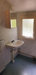 卡尔斯港Kolleviks Camping och Stugby的一间带水槽和窗户的浴室