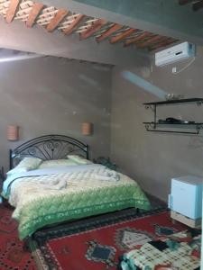 扎古拉Riad Tagmadarte Ferme d'Hôte的一间卧室配有一张带绿色棉被的床