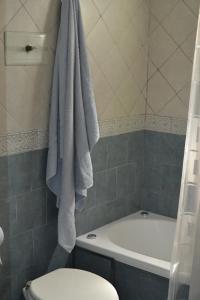 奥利沃斯SL 1908的浴室设有挂在厕所上方的毛巾
