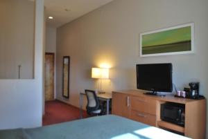 埃尔帕索索鲁纳酒店的配有一张床和一台平面电视的酒店客房