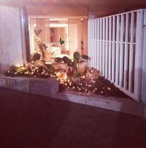 滨海波利尼亚诺Dimora Silcla1的门廊,花园内种有圣诞树和灯