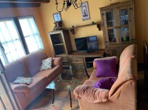 巴罗德亚尼斯APARTAMENTOS MARIAJE的客厅配有两张沙发和一台电视机