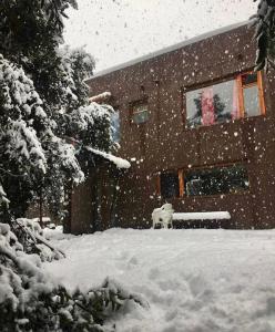 圣卡洛斯-德巴里洛切Ciao Bariloche - habitaciones privadas en hostel的前面的雪覆盖的房子