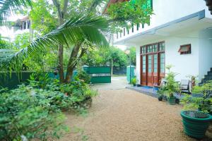 本托塔Ananda Villa Bentota的棕榈树和植物的庭院