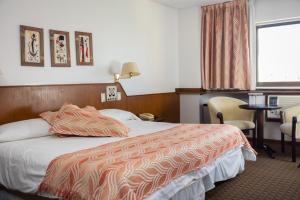 圣路易斯昆塔娜酒店的配有一张床和一张书桌的酒店客房