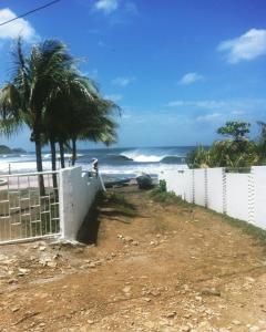 El TránsitoBananoz Surfhouse的海滩上设有围栏和棕榈树,还有大海