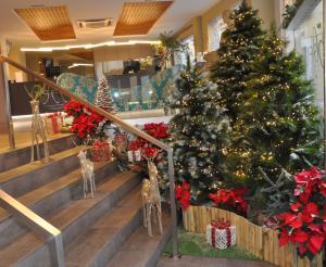 科尔多瓦Hotel Selu的商店楼梯上的圣诞树