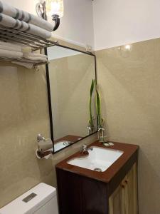 卢纳将军城PEPAYEN INN Homestay的一间带水槽、镜子和卫生间的浴室