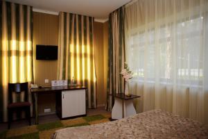 波尔塔瓦Complex Mukhomor的配有一张床、一张书桌和一扇窗户的酒店客房