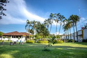 帕尔米拉Hotel Villa Bosco的棕榈树公园和建筑