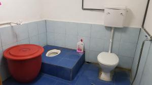 关丹Homestay Che Kiah的一间带卫生间和水槽的小浴室