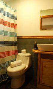 柴滕Chucao Bosque y Cabañas的一间带卫生间和淋浴帘的浴室