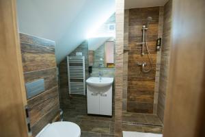 贝谢诺瓦Villa Michaela的一间带水槽、卫生间和淋浴的浴室