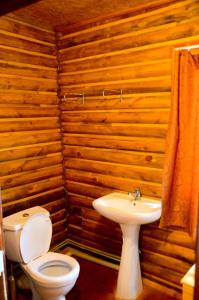 博罗沃耶Hotel Kokshebel的木制浴室设有卫生间和水槽