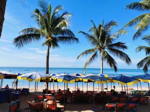 乔木提恩海滩水母青旅的棕榈树、椅子和遮阳伞的海滩