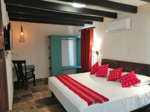 图斯特拉古铁雷斯Hotel Casa del Agua的一间卧室配有一张带红色枕头的床