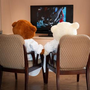 符拉迪沃斯托克斯比尔斯克坡德维烈酒店的两只泰迪熊坐在电视机前的椅子上