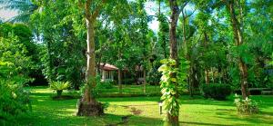 尼甘布芒果屋日本旅馆的一座种有树木的花园,一座房子的背景