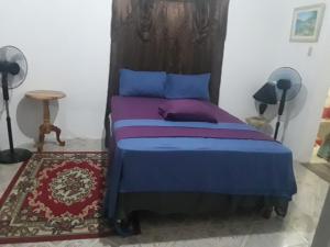 尼格瑞尔Fay Guest House的一间卧室配有一张带蓝色和紫色枕头的床