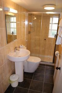 柯库布里塞尔扣克纹章酒店的一间带水槽、卫生间和淋浴的浴室