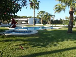 罗塔ABULAGAR的棕榈树庭院内的游泳池