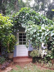 康提康提天堂小屋乡村民宿的四周有一堆植物的白色门