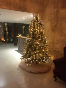 San José IturbideHOTEL BOUTIQUE JAYCO的房间里的圣诞树和灯