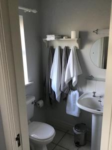 戈尔韦Venetia House - small guesthouse的浴室设有卫生间、水槽和毛巾