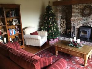 戈尔韦Venetia House - small guesthouse的客厅配有圣诞树和壁炉