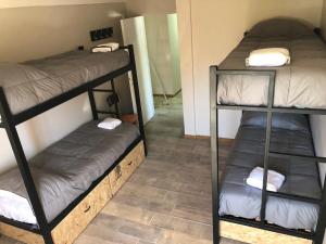 Hostel NIX客房内的一张或多张双层床