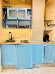 赖因伯伦Sunny Corner Holiday Apartment的厨房配有蓝色橱柜和水槽