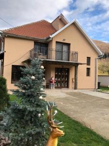 ChişcăuCasa Larisa的房子前面的圣诞树