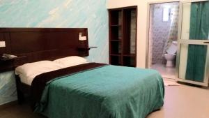 科纳克里Hotel du Golfe de Guinée的一间卧室配有一张床,浴室设有卫生间