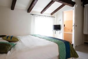 加尔达湖滨安替舍穆拉酒店的一间卧室配有一张带窗户的床和一台电视
