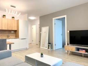 布拉迪斯拉发Elegant, bright spacious apartment in Bratislava center的客厅配有平面电视和沙发。