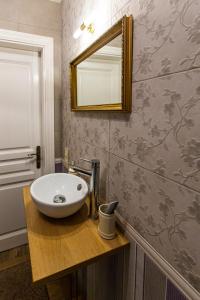 利沃夫Австрійська квартира в центрі на вулиці Михальчука 5的一间带水槽和镜子的浴室