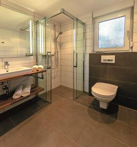 普劳西福里恩帕克赫登芙兹假日公园的浴室配有卫生间、盥洗盆和淋浴。