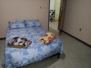 伊列乌斯Sitio Santo Antonio HOSTEL的一张床上有两个枕头的房间