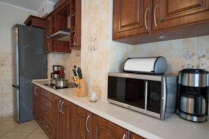 罗威Villa BALTICA的厨房配有微波炉和冰箱。