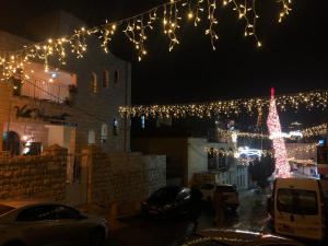 拿撒勒Villa Nazareth B&B的夜城里一棵带灯的圣诞树