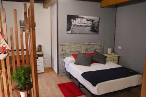 圣乌尔苏拉Canarian House Antigua Escuela的小卧室配有带黑色和红色枕头的床