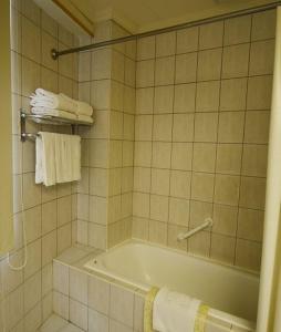 永康永康剑桥大饭店的浴室配有浴缸和墙上的毛巾