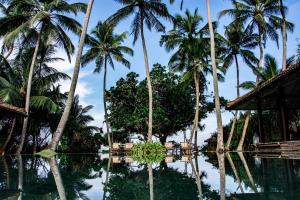 巴勒皮蒂耶Sundara by Mosvold的棕榈树度假村的游泳池景