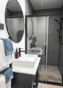 韦斯特波特The Loft Apartments的一间带水槽、淋浴和镜子的浴室